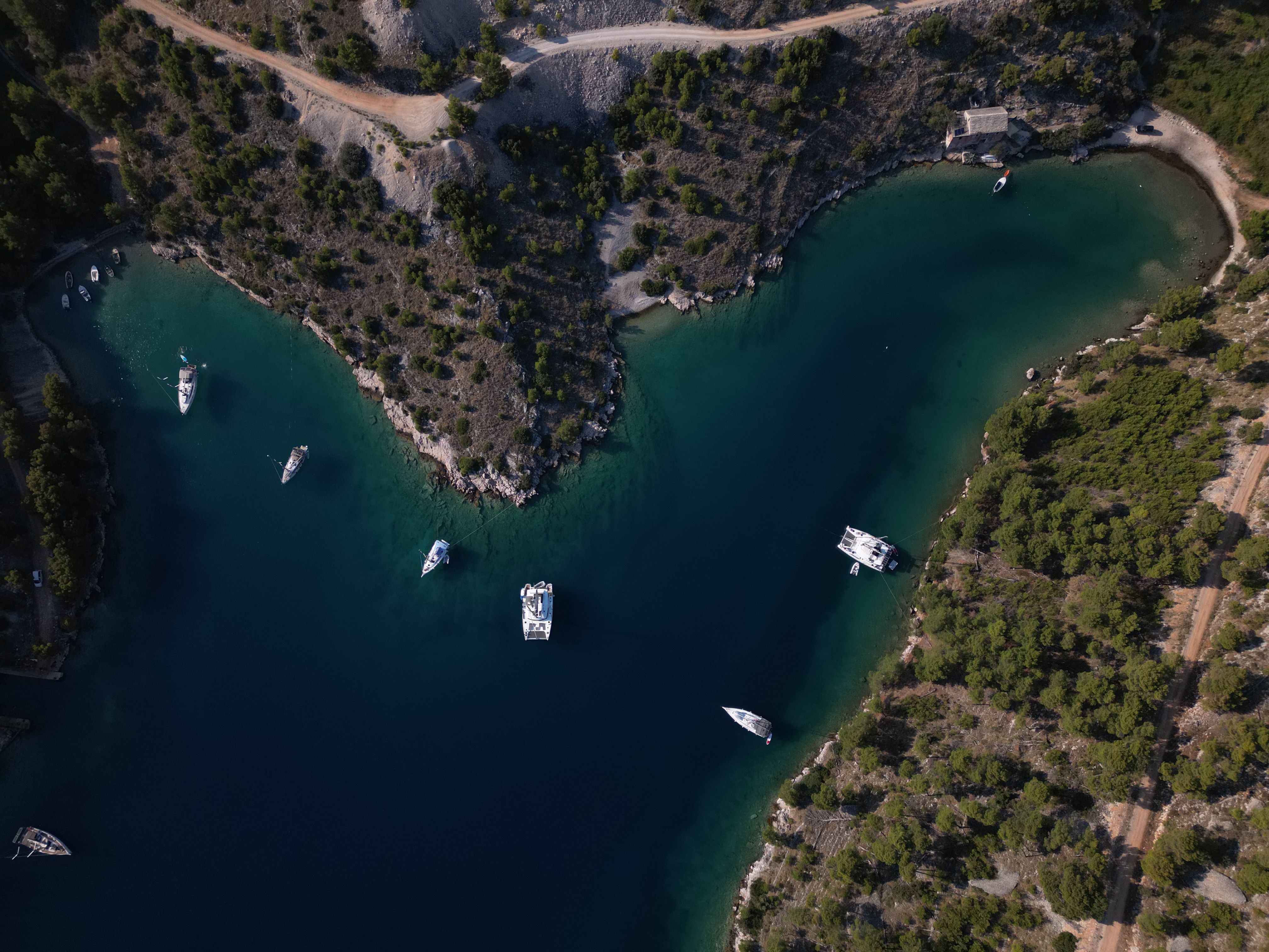 Island Braač, Smrka