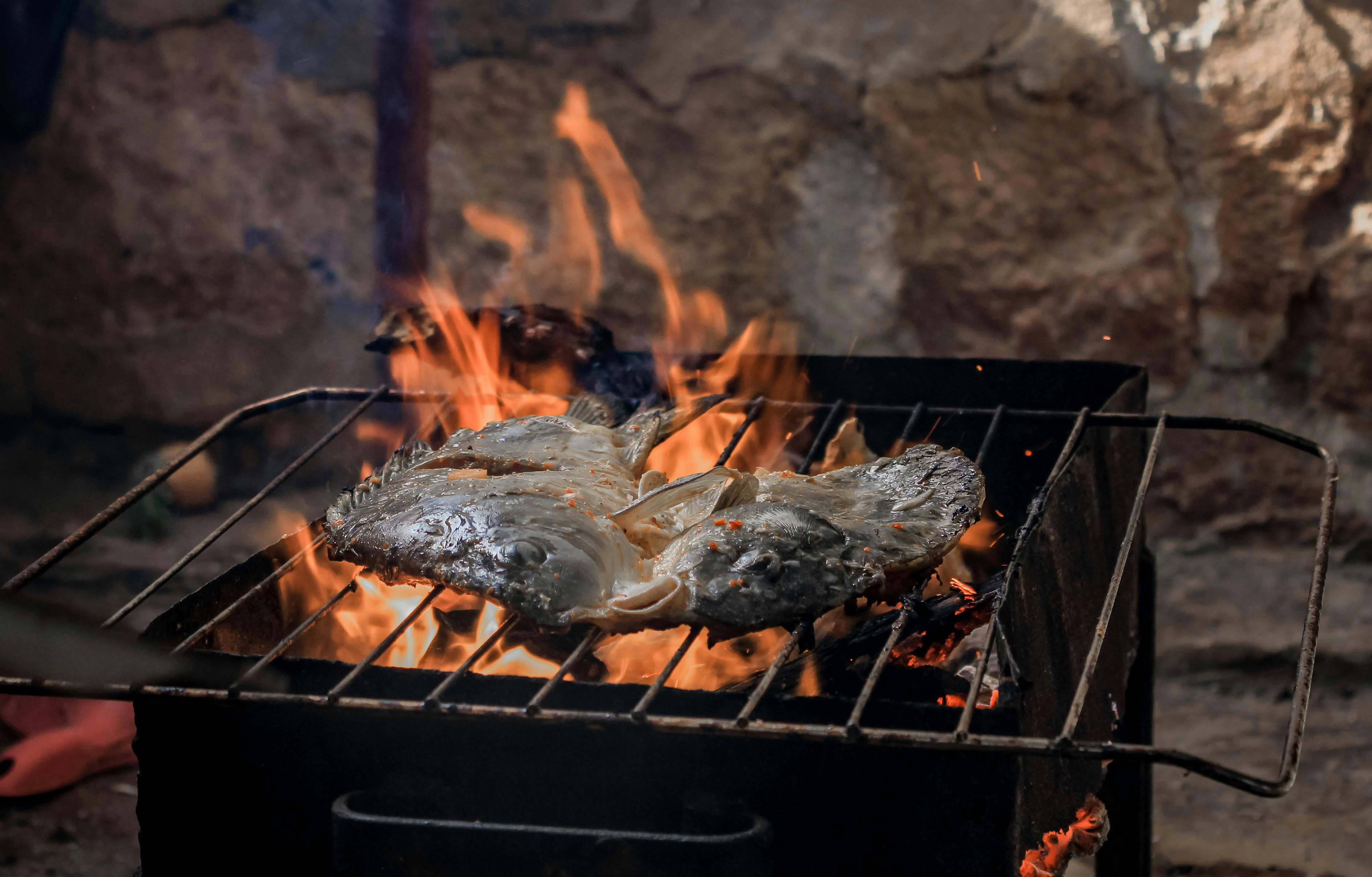 Croatian fish